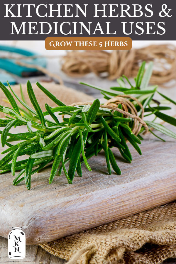 Medicinal Kitchen Herbs (6 Herbs You Should Grow) - Melissa K. Norris