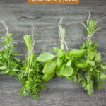 Pinterest pin for using kitchen herbs medicinally. Image of a different herbs tied with twine drying upside down.