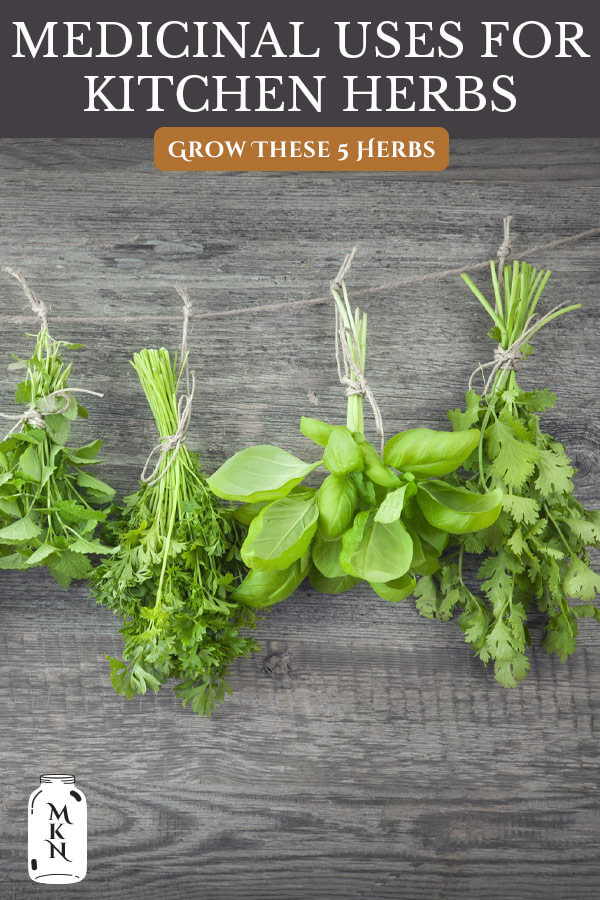 Medicinal Kitchen Herbs (6 Herbs You Should Grow) - Melissa K. Norris