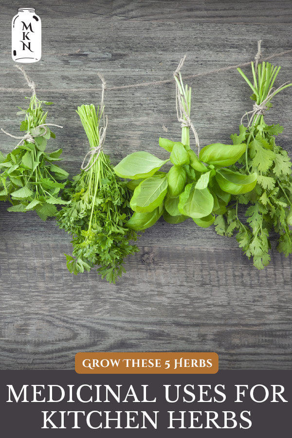 Medicinal Kitchen Herbs (6 Herbs You Should Grow) - Melissa K. Norris