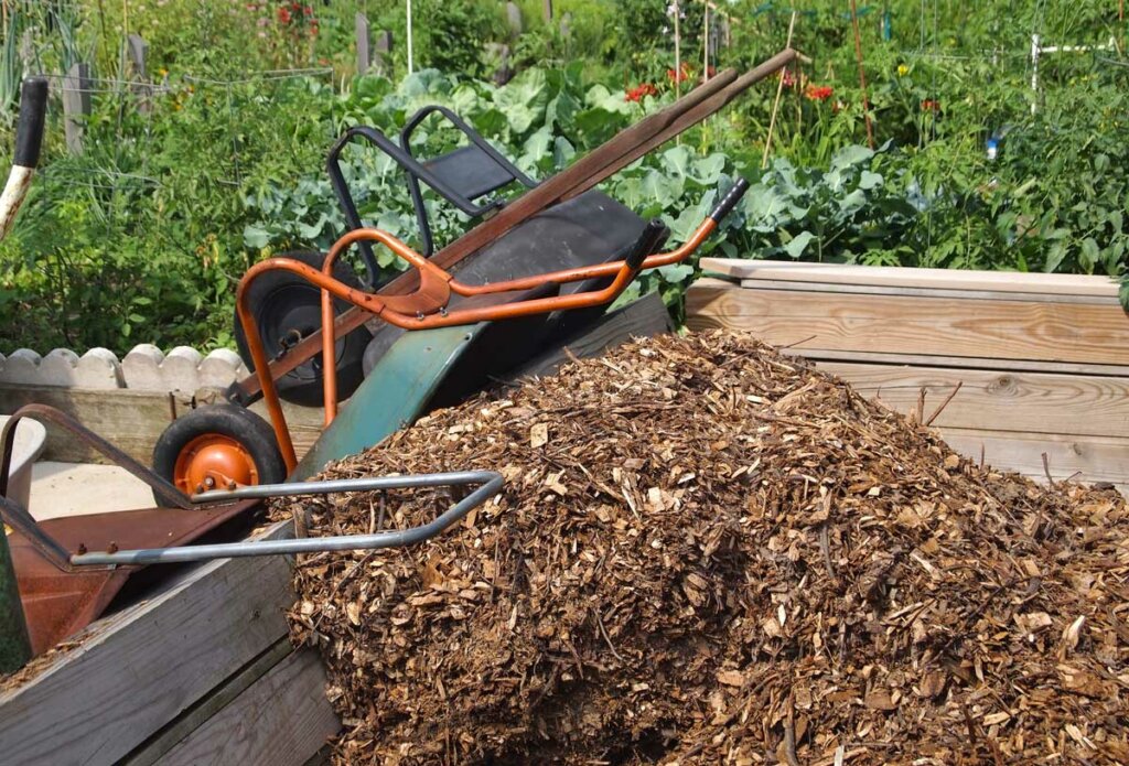 Wheel barrows tipped over next to a large pile of mulch.