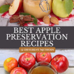 Pinterest pin for how to preserve apples at home 12 different ways. Image of a jar of homemade apple sauce and homemade apple cider vinegar.
