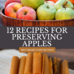Pinterest pin for how to preserve apples at home 12 different ways. Image of a barrel filled with fresh apples.