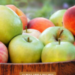 Pinterest pin for how to preserve apples at home 12 different ways. Image of a barrel filled with fresh apples.
