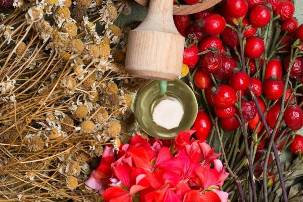 Rosehips and other dried herbal flowers.