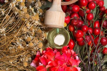 Benefits Of Rosehips (Growing, Harvesting & Medicinal Uses) - Melissa K ...