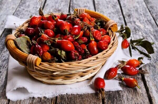 Benefits Of Rosehips (Harvesting & Medicinal Uses) - Melissa K Norris