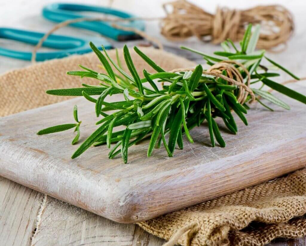 A bundle of rosemary tied with twine.