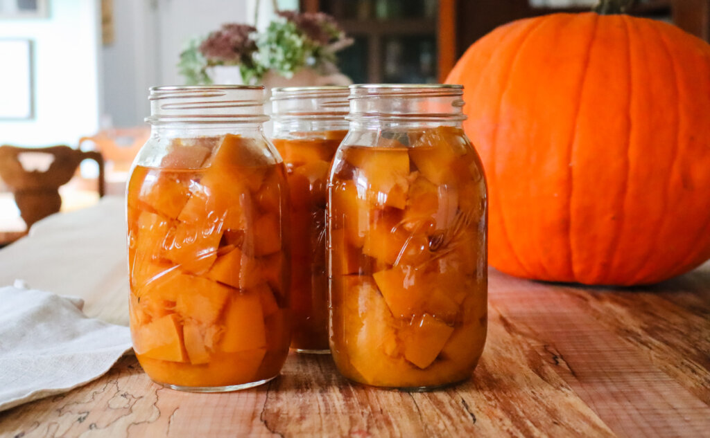 Canned pumpkin in quart sized Mason jars with a large pumpkin in the background.