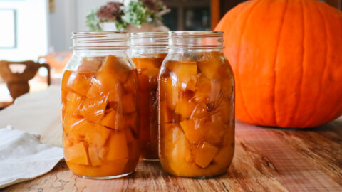 Canned pumpkin in quart sized Mason jars with a large pumpkin in the background.