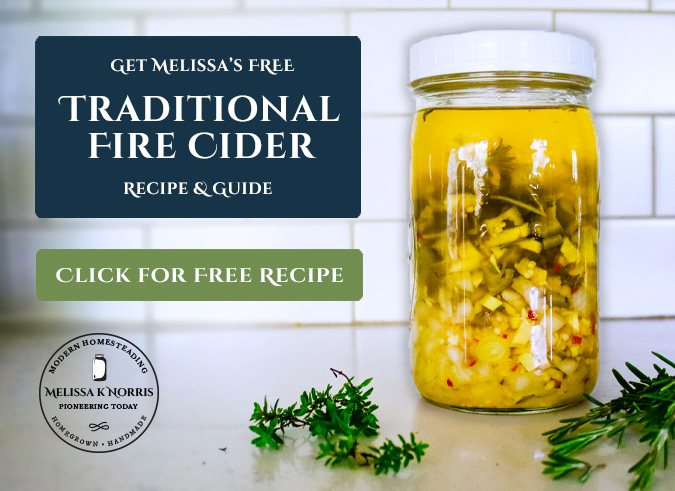 Image for a free downloadable and printable fire cider recipe.
