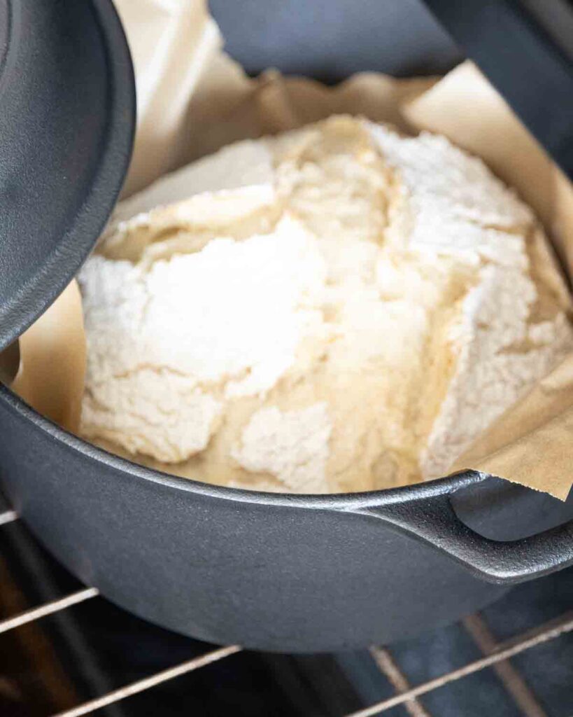 A partially baked loaf of no knead artisan bread baking inside a Dutch oven.