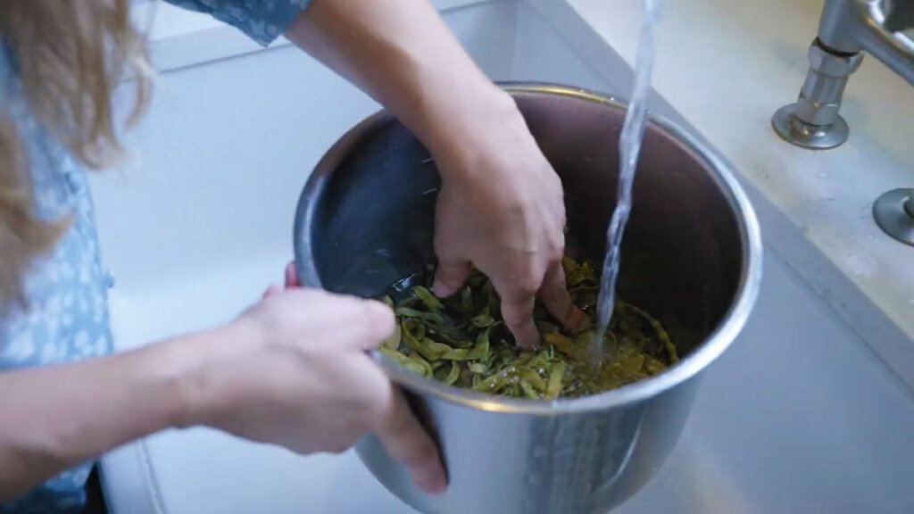 An instant pot filled with leather britches and water.