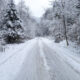 A snowy road lined with trees.