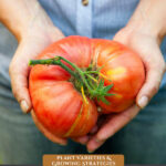 Pinterest pin for garden planning 2022. Image of a woman holding a large tomato.