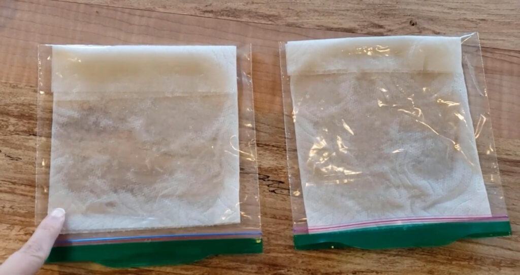 Two small ziplock bags with wet paper towels inside.