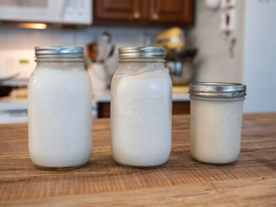Three jars of rendered lard on the counter.