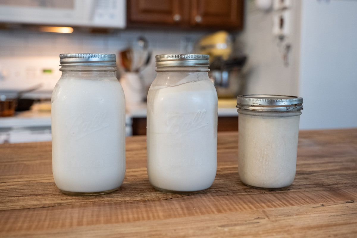 Three jars of rendered lard on the counter.