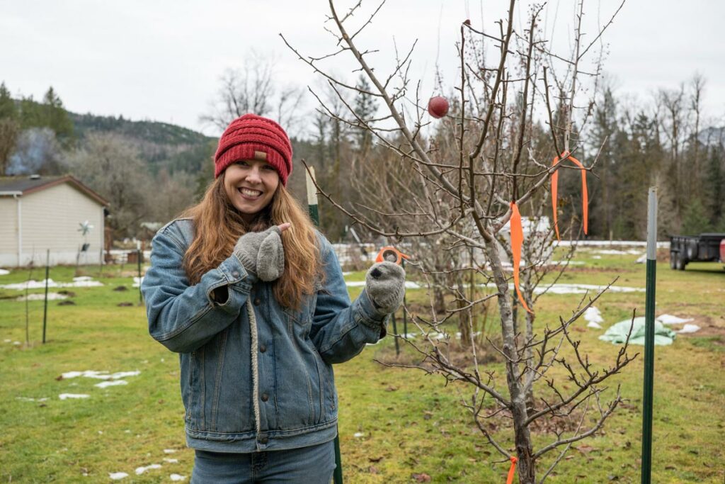 A woman marking branches of a fruit tree with bright orange tape.