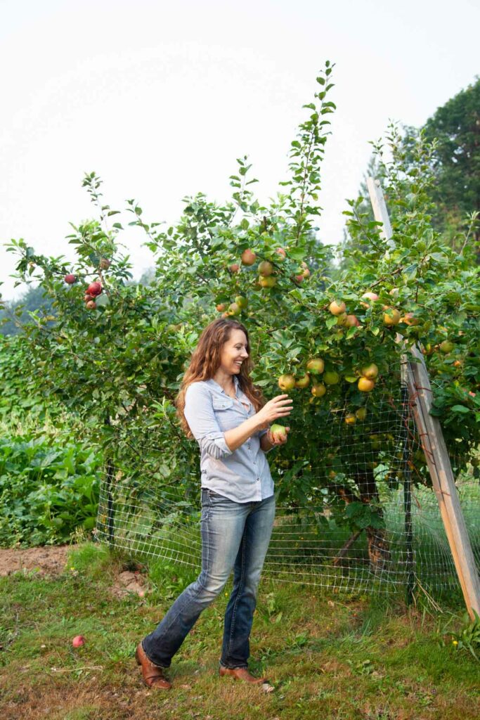 A woman standing in an orchard picking an apple from a tree.