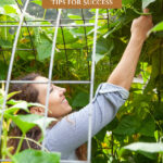 Pinterest pin for hot climate growing tips. Image of a woman working in her garden.