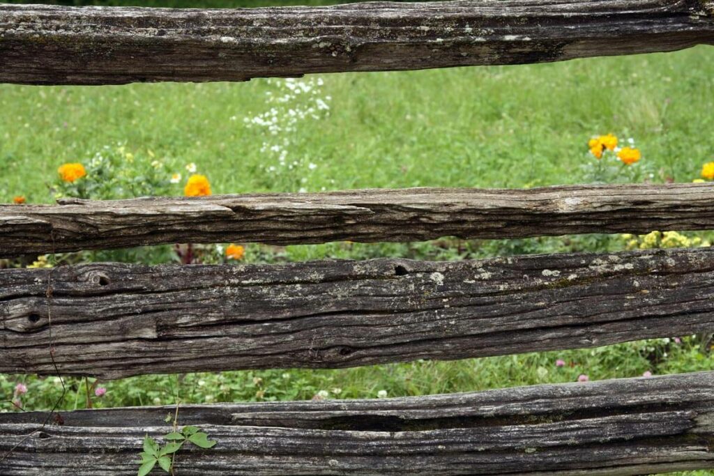 Old fashioned fence with a green pasture and wildflowers behind it.
