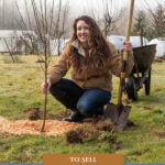 Pinterest pin for preparing your homestead to sell. Image of a woman planting a fruit tree.
