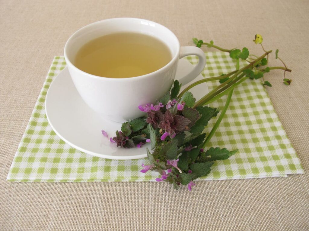Tea made with purple dead nettle.