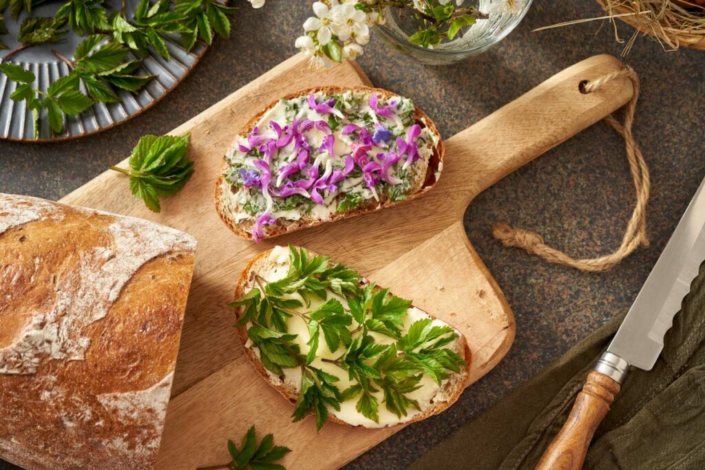 Purple dead nettle flowers and leaves on toast.