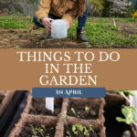 Pinterest pin for garden tasks in April. Image of a woman in the garden.