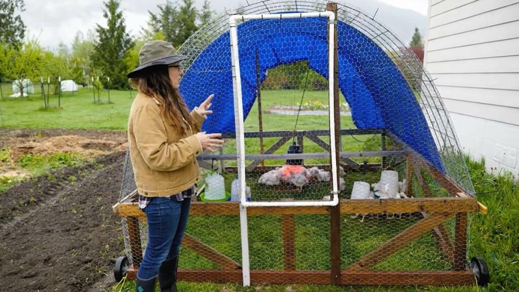 A woman standing next to a portable chicken tractor.