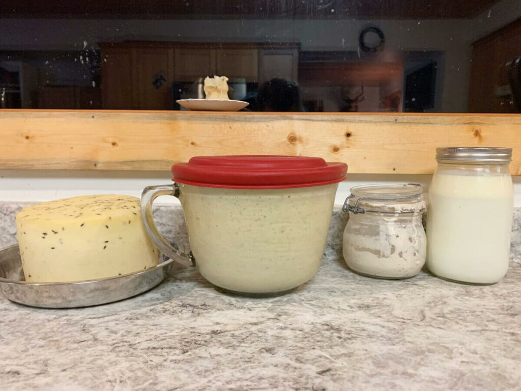 Various homemade dairy products lined on a counter.