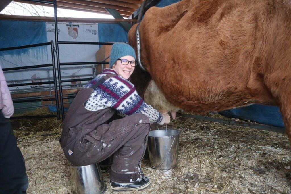 A woman milking a cow.