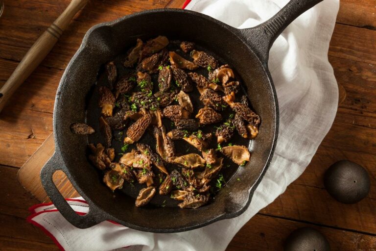 How to Forage for Morel Mushrooms
