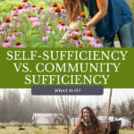 Pinterest pin for a blog post on community sufficiency vs. self-sufficiency with images of a garden.