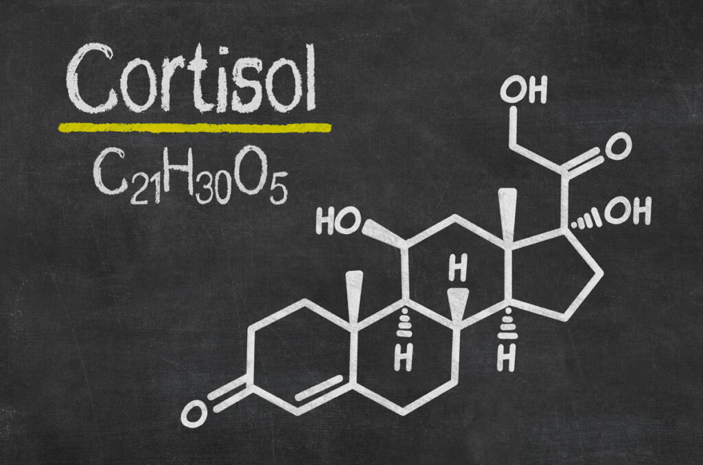 Cortisol written on a chalkboard.