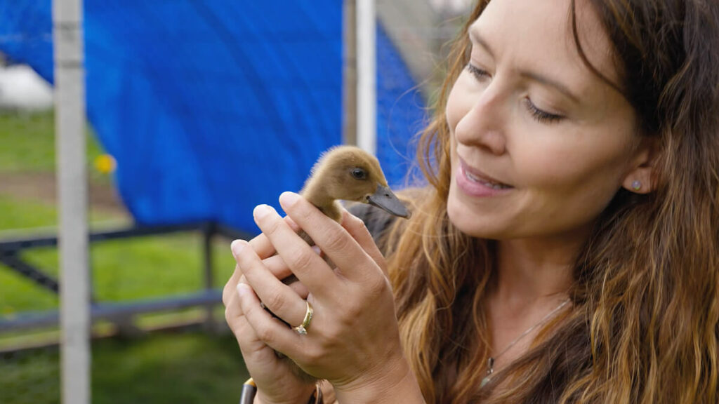 A woman holding a baby duck.