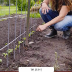 Pinterest pin for gardening tasks in June. Image of a woman in her garden.