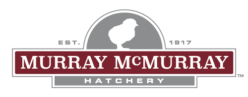 Murray McMurray Hatchery - Murray's Best Egg Wash