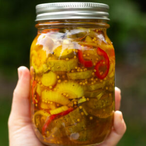 A hand holding up a jar of bread and butter pickles.
