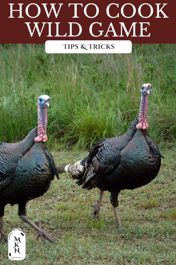 Cooking With Wild Game (So It Tastes Good!) Melissa K. Norris