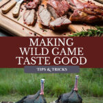 Pinterest pin for cooking wild game. Image of a wild turkey.