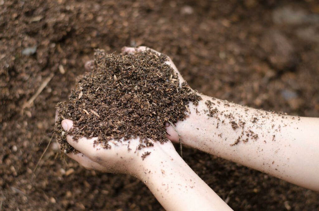 A woman's hands scooping up finished compost.