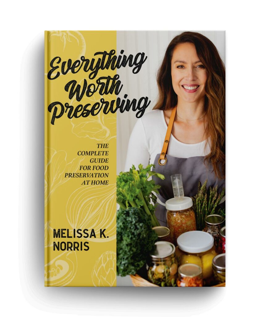 Everything Worth Preserving Book Cover.