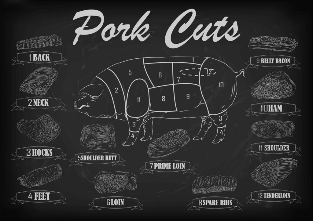 A drawing of the different cuts of a pig.