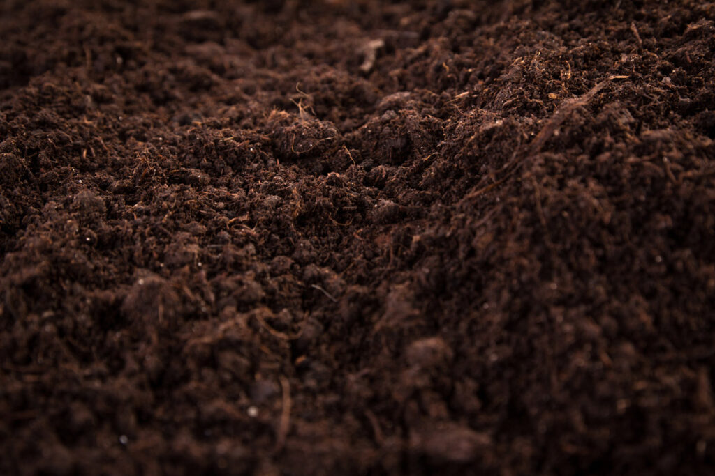 Close up photo of garden soil.