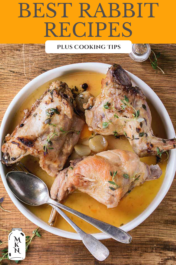 How to Cook Rabbit - Melissa K. Norris