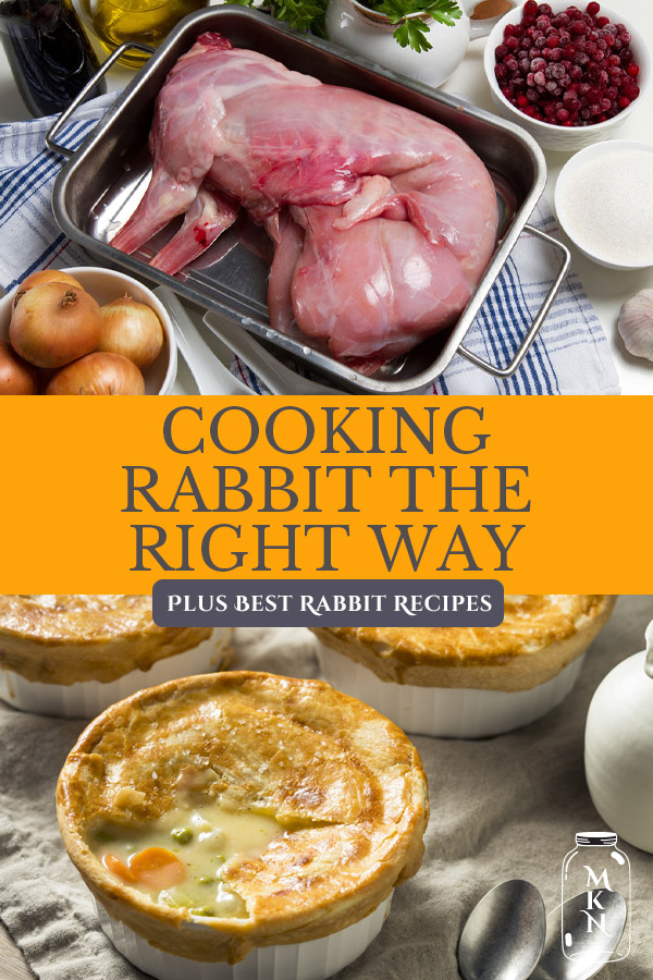 How to Cook Rabbit - Melissa K. Norris