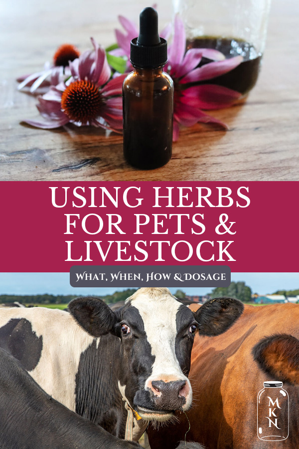 Herbal Remedies For Animals (Pets & Livestock) - Melissa K. Norris