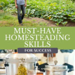 Pinterest pin for the must-have homesteading skills. Image of a woman in a garden and preserving supplies.